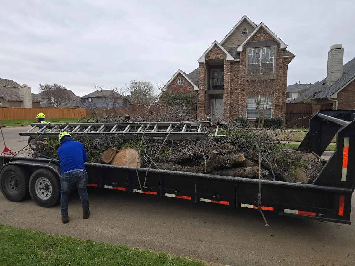 Expert Tree Fertilization with proper safety equipment in Ferndale